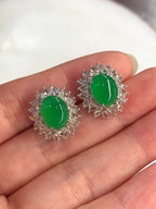 Icy Green Jade Cabochons Earrings