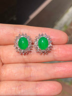 Icy Green Jade Cabochons Earrings