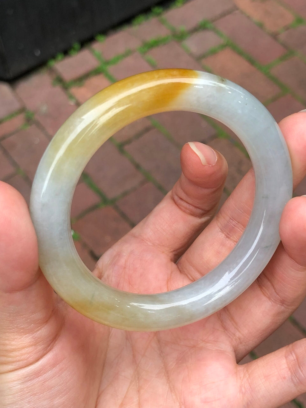 Honey Yellow Jade Bangle