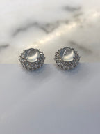 Icy Jade Cabochons Earrings (Glassy Variety)
