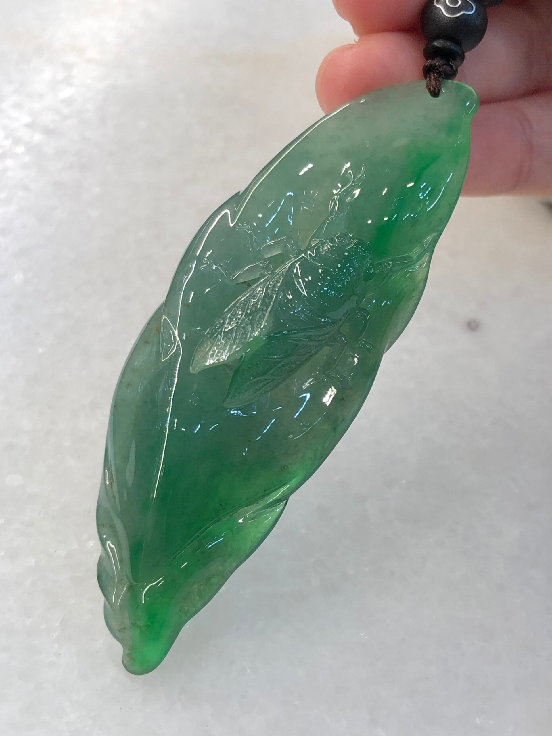 Icy Green Jade Cicada on Leaf