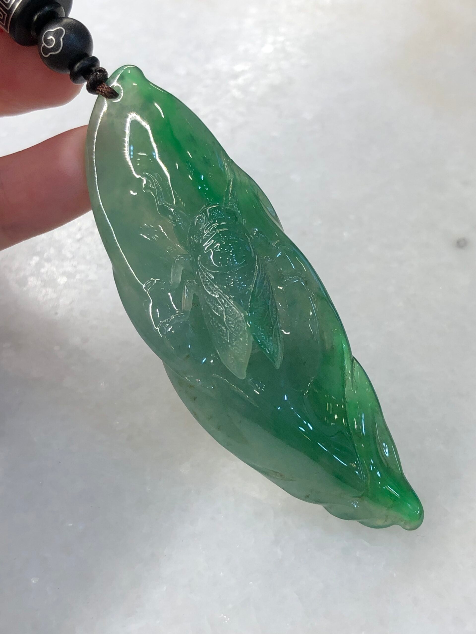 Icy Green Jade Cicada on Leaf