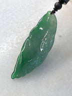 Icy Green Jade Cicada on Leaf