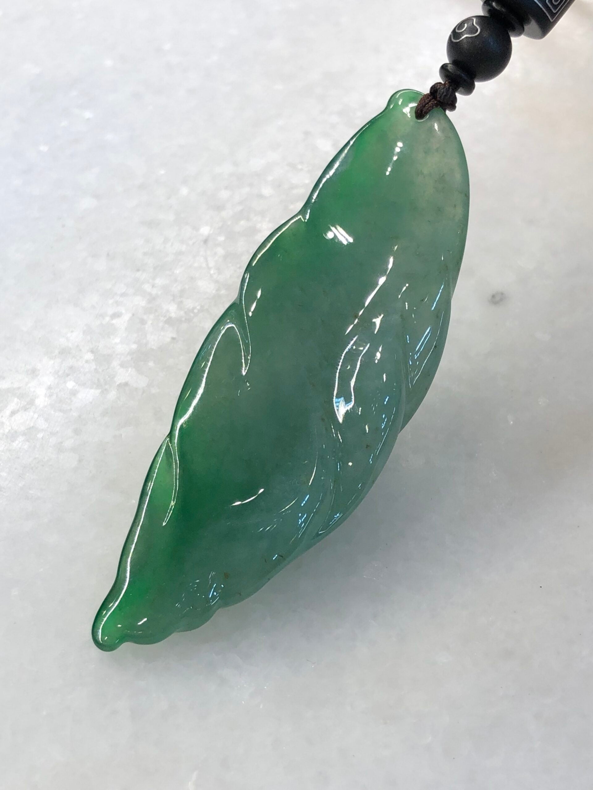 Icy Green Jade Cicada on Leaf
