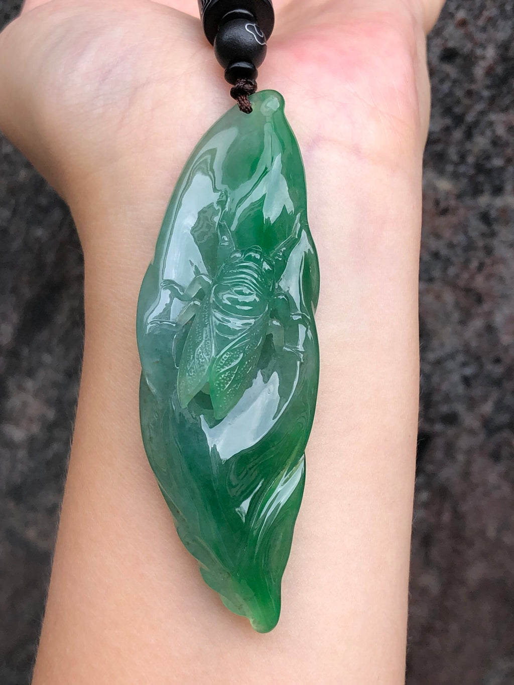 Icy Green Jade Cicada on Leaf