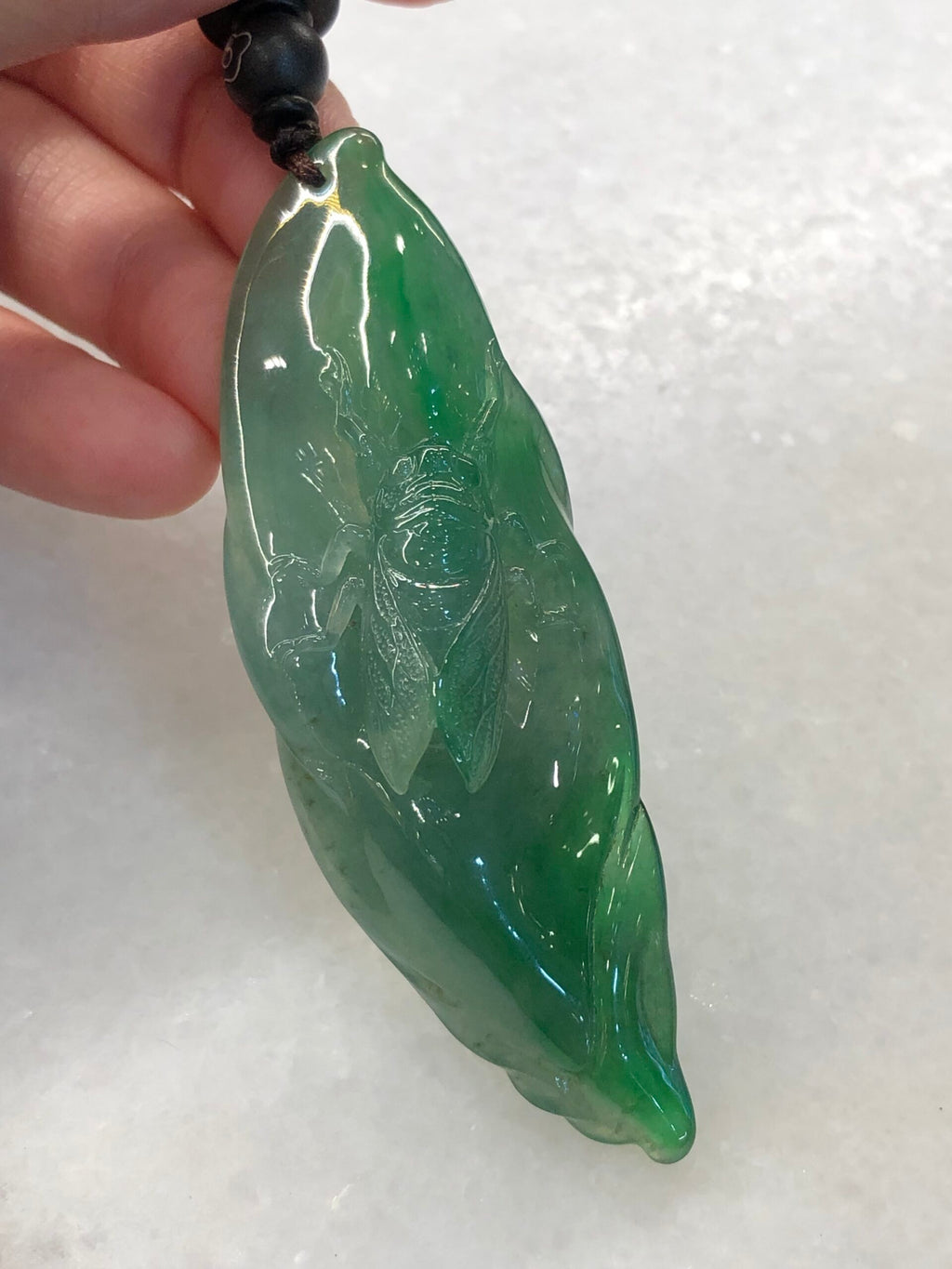 Icy Green Jade Cicada on Leaf